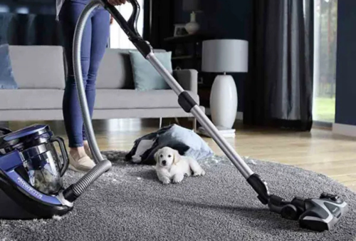 Aspiradores com Saco vs Aspiradores sem Saco: Qual é a Melhor Escolha para a Sua Casa?