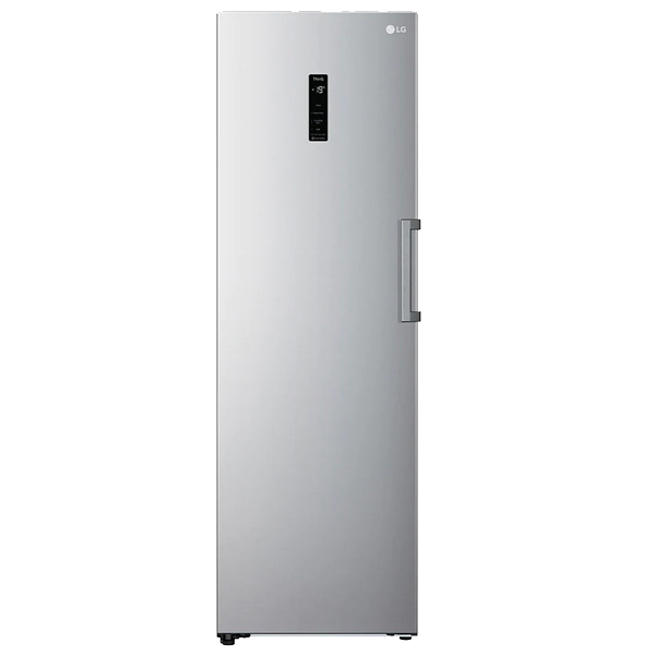 Arca Vertical LG - GFE 41 PZGSZ