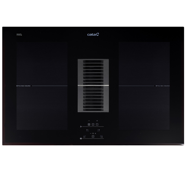 PLACA CATA - AS750 2 FLEX /A 155.P.08000405