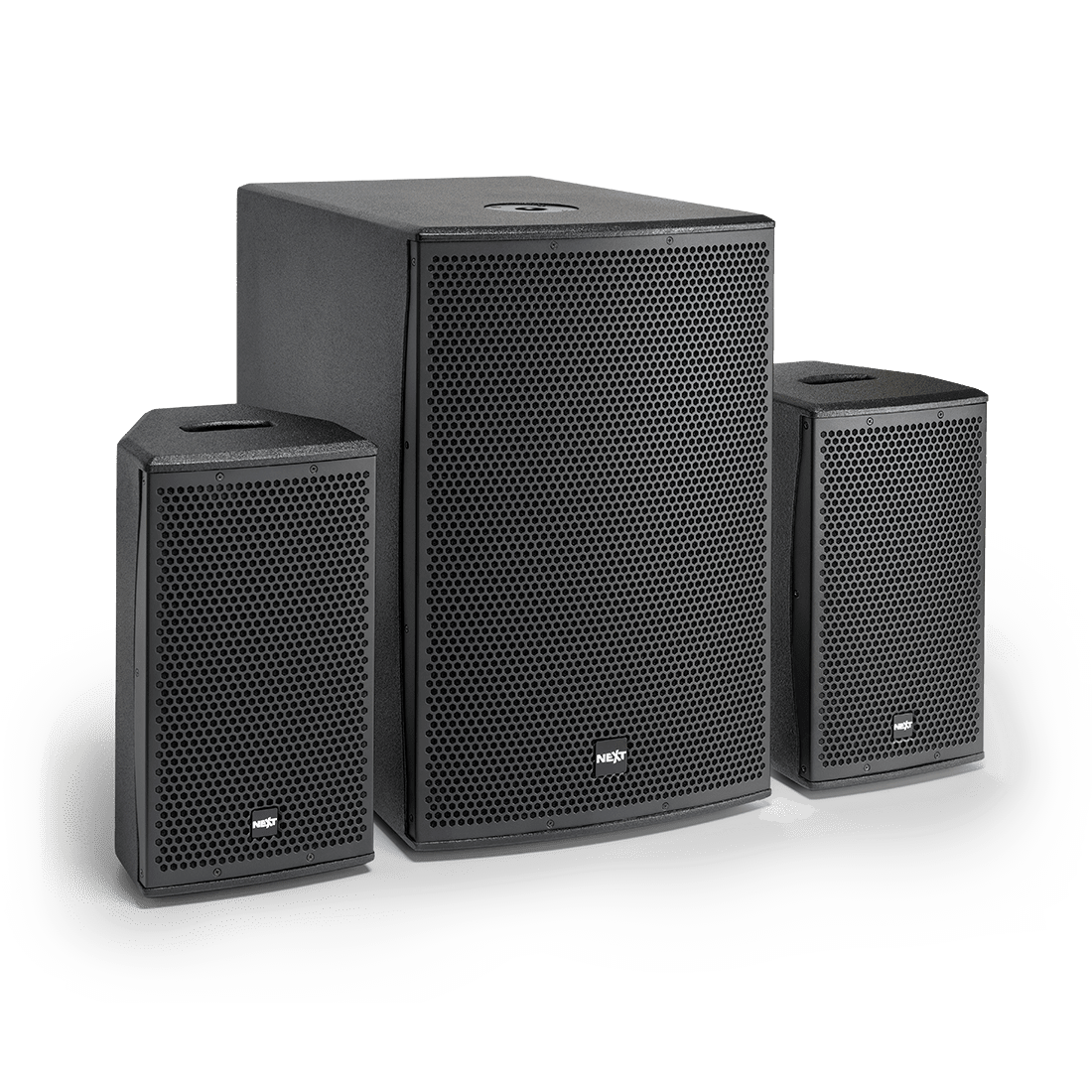 Sistema de Som amplificado NEXT FLEXi 15