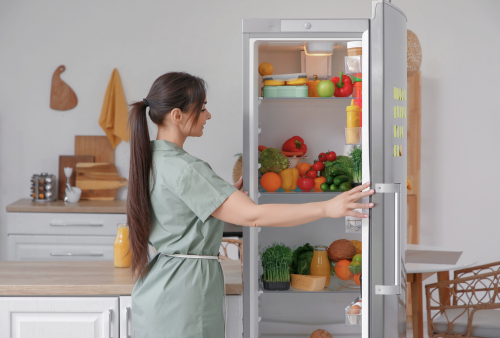 Como Escolher um Frigorífico: Capacidade, No Frost, Consumo e Ruído