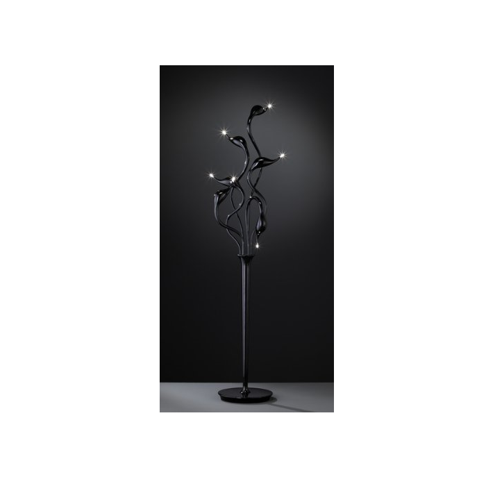 CAND. PE 3538.06.10.0000