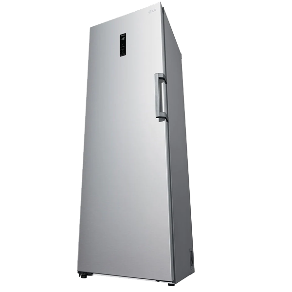 Arca Vertical LG - GFE 41 PZGSZ